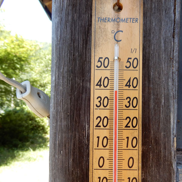 温度計39℃