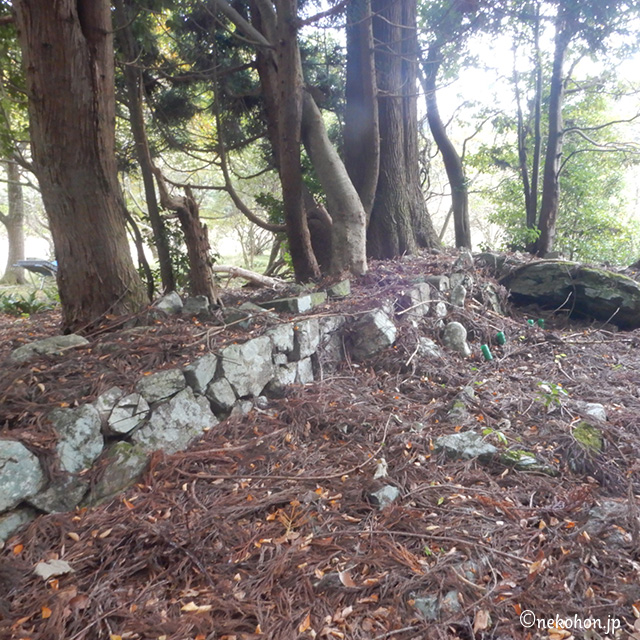 山の中の古い墓地