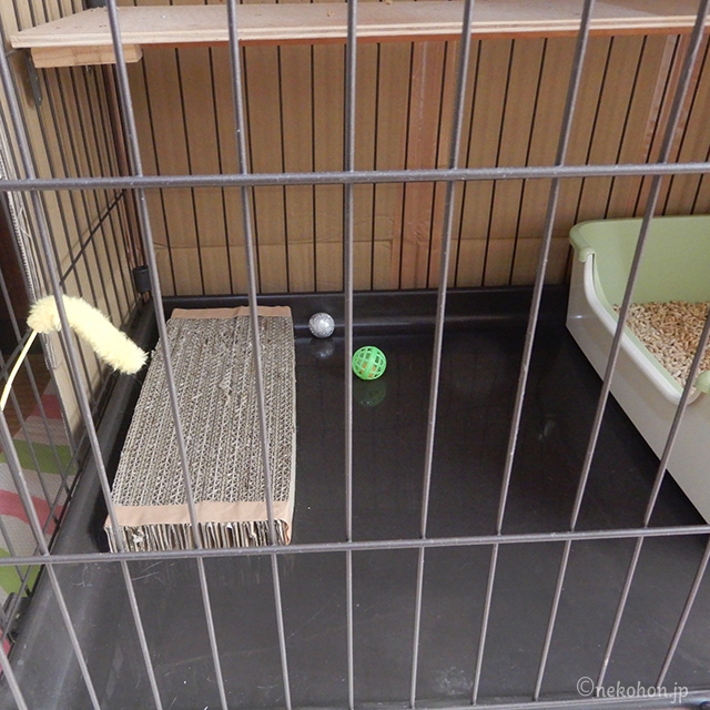 ケージの中に爪とぎ、おもちゃ