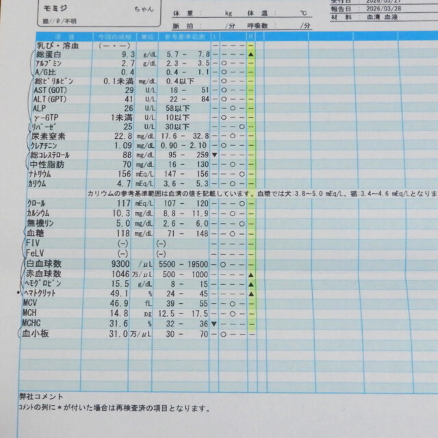 三毛猫もみじの血液検査の結果表