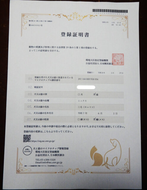 三毛猫もみじ　マイクロチップ登録証明書