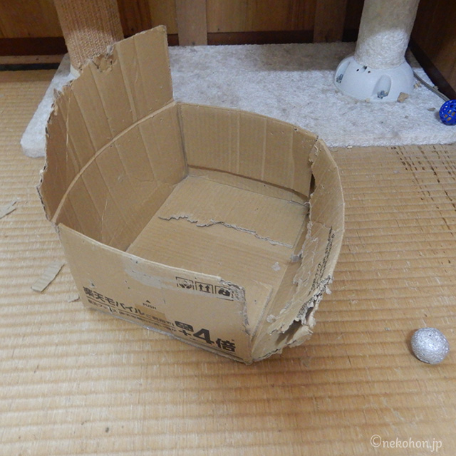 ボロボロになった段ボール箱