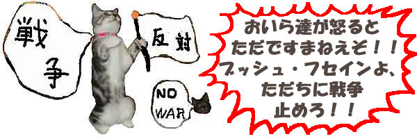 反戦猫　no war cats
