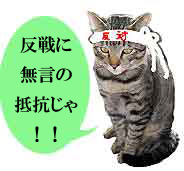 反戦猫　no warcat