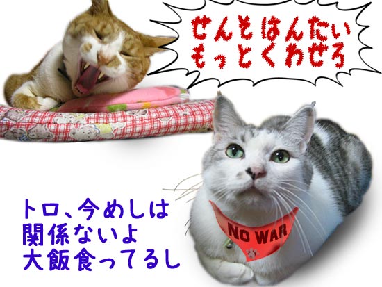 反戦猫 no war cats