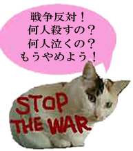 反戦猫　no war cat