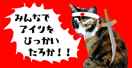 反戦猫　no war cat