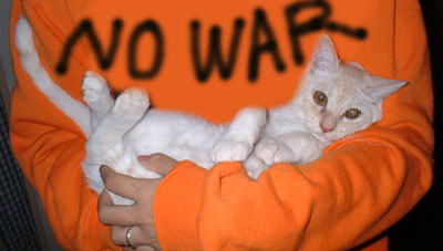 反戦猫 no war cat
