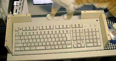 悪戯防止：猫だってパソコンを使いたい | ねこと暮らす