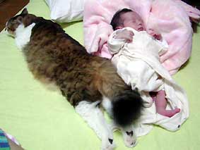 猫と赤ちゃんの添い寝