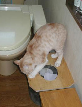 DIY おまる型猫トイレ