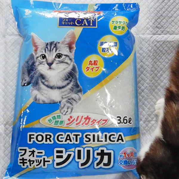 フォーキャット　シリカ　FOR CAT SILICA