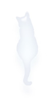 猫イラスト、薄い色　cat