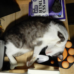 マウスパッドの上に寝る猫