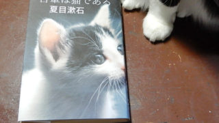 猫ブックカバー