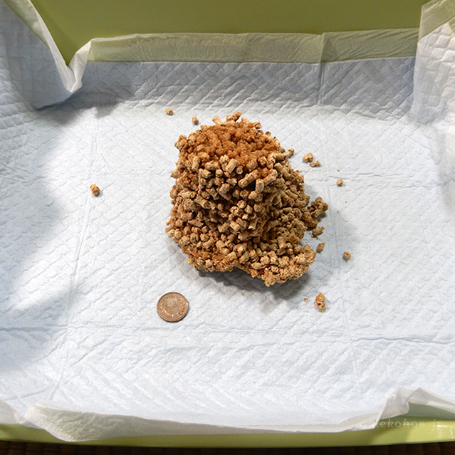 猫砂は緊急時に非常用トイレとして使えるか：木製猫砂の場合