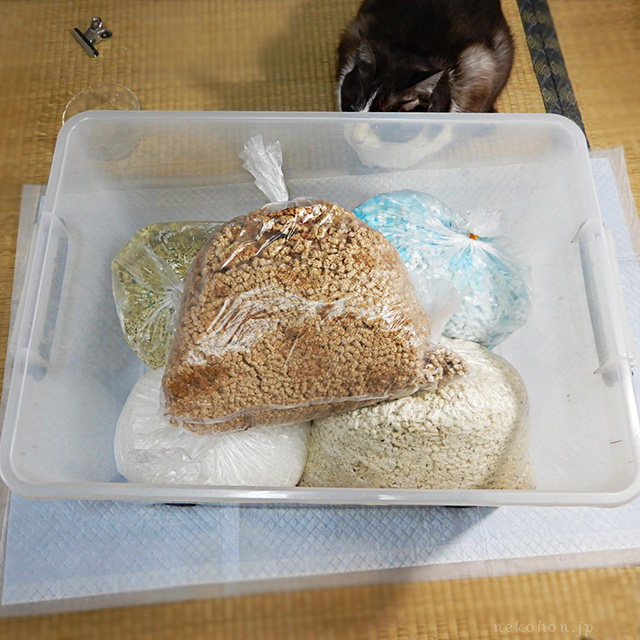 猫砂は緊急時に非常用トイレとして使えるか：各素材で比較