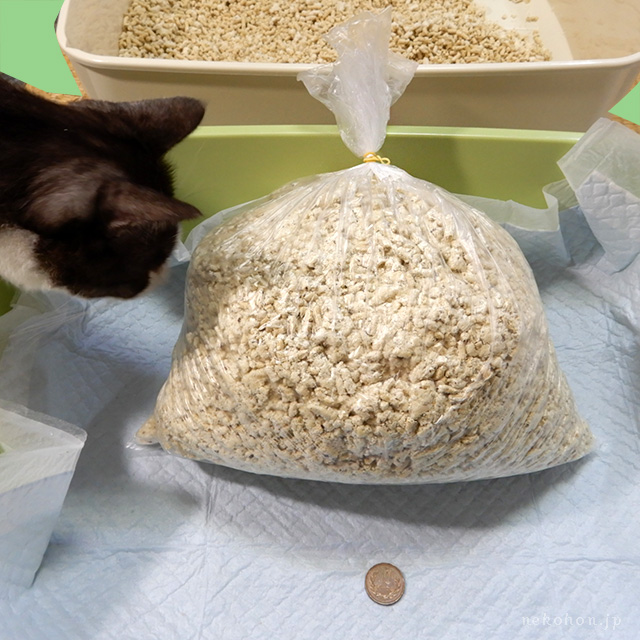 猫砂は緊急時に非常用トイレとして使えるか：おから砂