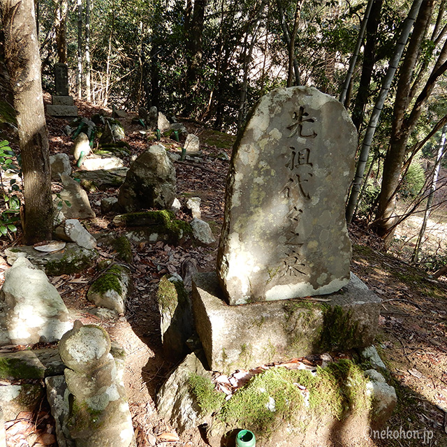 山の中の古い墓