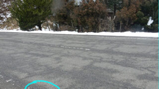 路上に落ちていた散弾銃の実弾（実包）