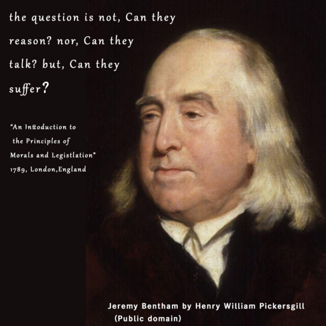 "the question is not, Can they reason? nor, Can they talk? but, Can they suffer？" Jeremy Bentham by Henry William Pickersgill (public domain)