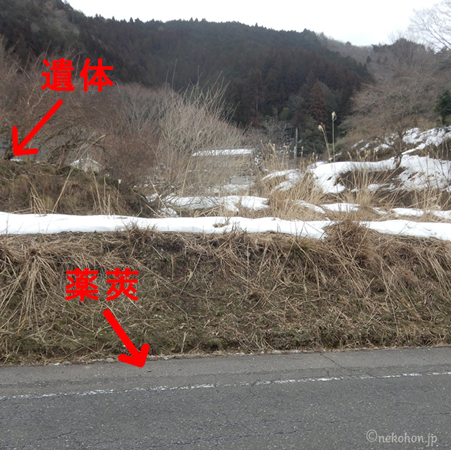 薬莢が落ちていた場所