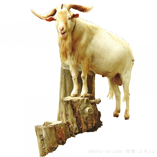 山羊　フリー画像　https://www.photo-ac.com/