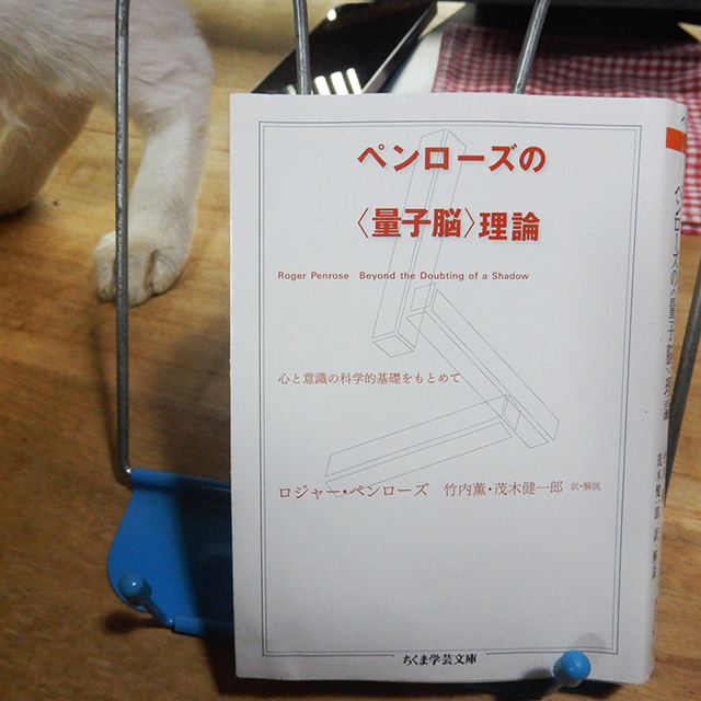 『ペンローズの〈量子脳〉理論:心と意識の科学的基礎をもとめて』、ロジャー・ペンローズ著、竹内薫・茂木健一郎訳・解説、ちくま学芸文庫、2006年発行、ISBN:9784480090065