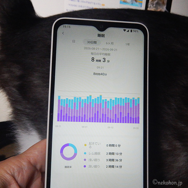 スマホのスクショ